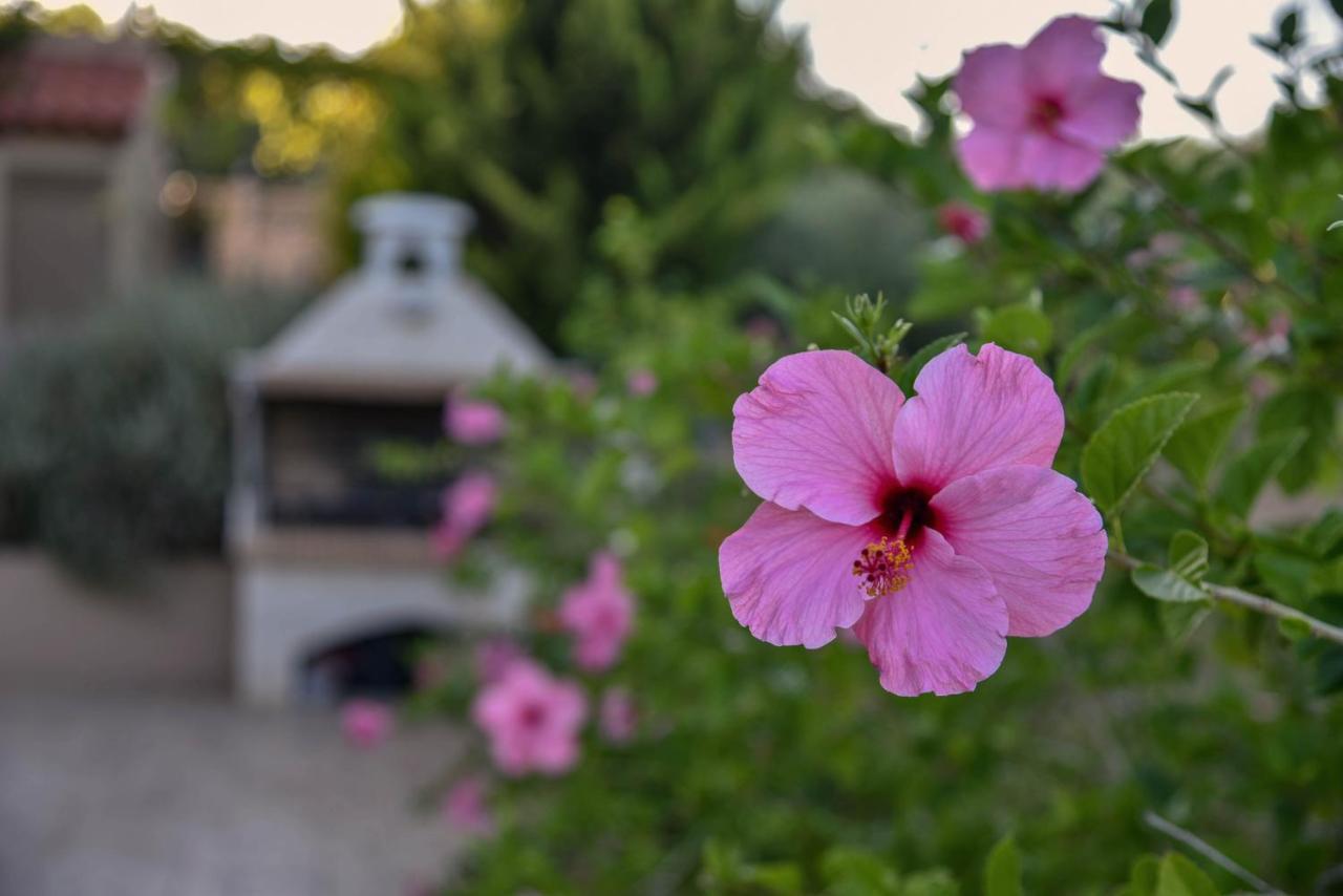 Σπίτι διακοπών Villabayviewcrete Χερσόνησος